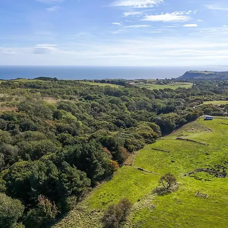 Woodpeckers Shepherds Hut 펜션 *